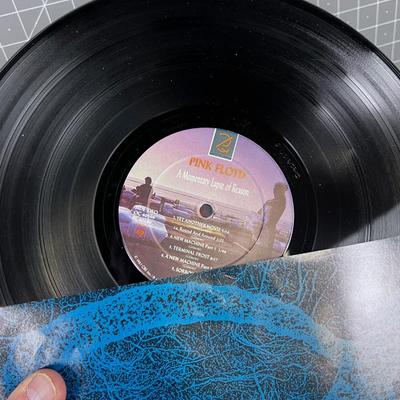 Pink Floyd  MOMENTARY LAPS OF REASON 