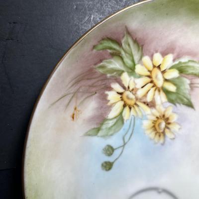 Hand Painted china plates