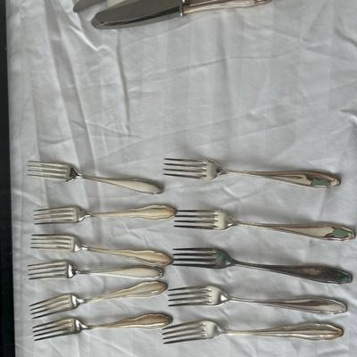 silver foks