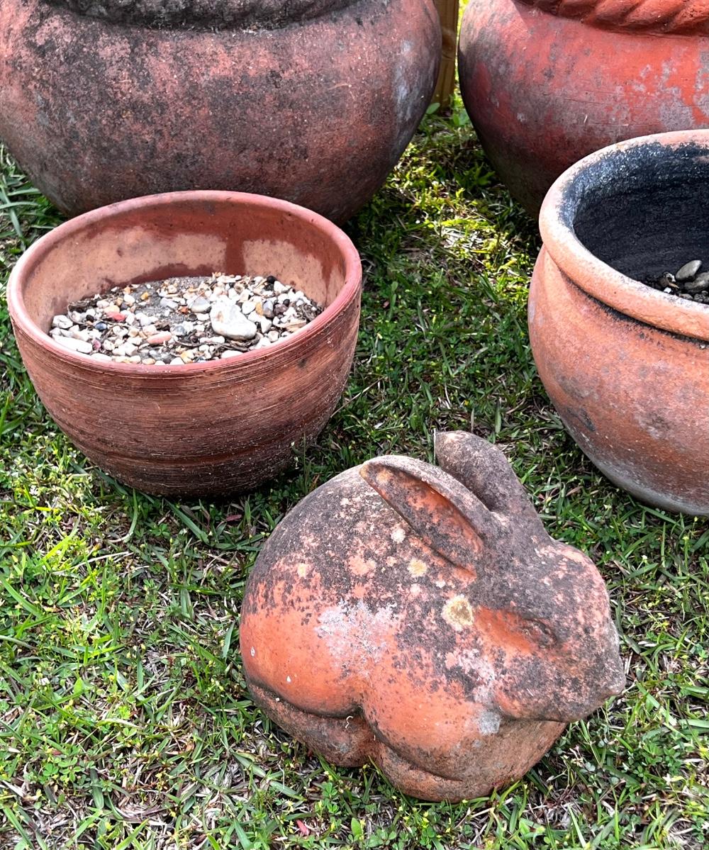 Terracotta Pot Lot 5 Planter Pots and a Bunny