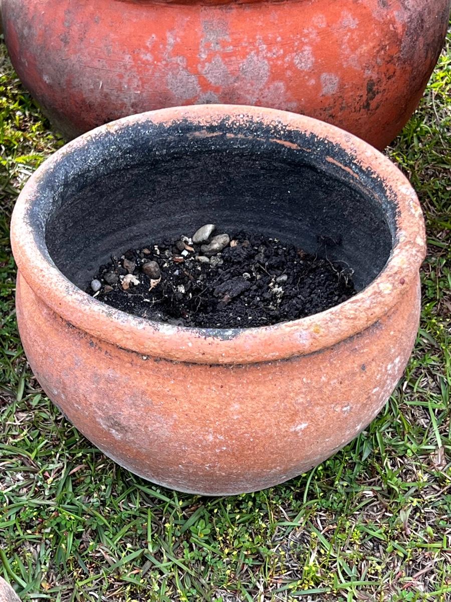Terracotta Pot Lot 5 Planter Pots and a Bunny