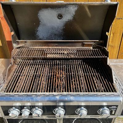 Outdoor Gas Grill with Cover