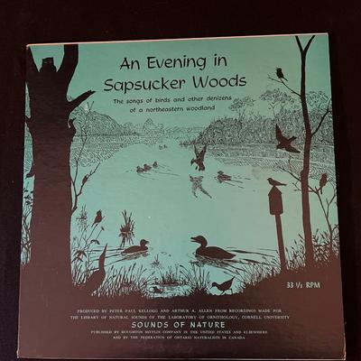 Bird Books and Records (D-DZ)