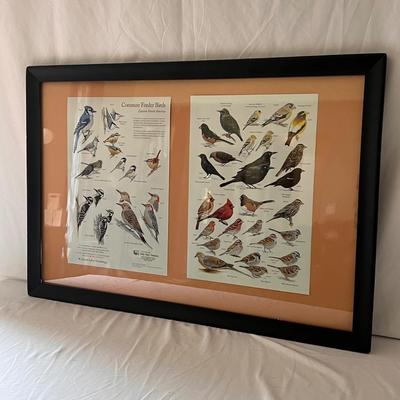 Field Guide Books and Two Framed Prints (D-DZ)