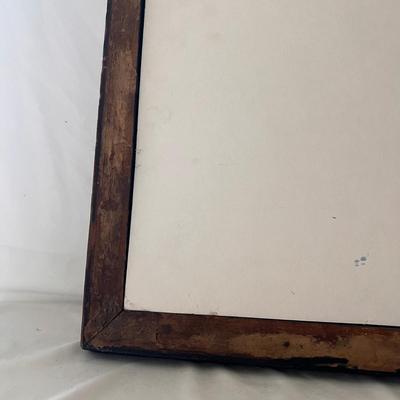Field Guide Books and Two Framed Prints (D-DZ)