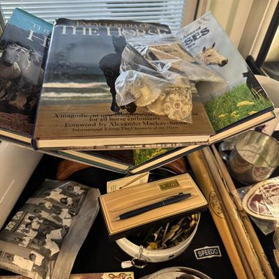 Boy Scout items and Horse Books