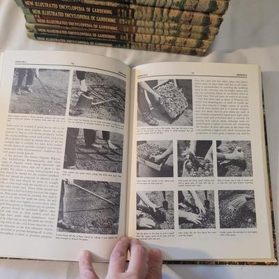 Greystoneâ€™s New Illustrated Encyclopedia of Gardening Books (D-CE)