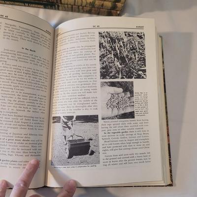 Greystoneâ€™s New Illustrated Encyclopedia of Gardening Books (D-CE)
