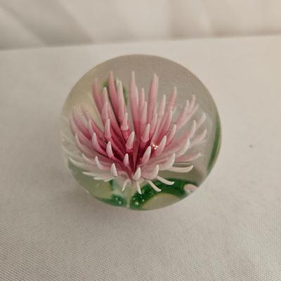 Glass and Epoxy Paperweights (UD-DW)