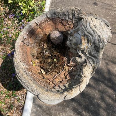 Cement Angel Birdbath (BY-MG)