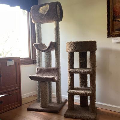 Cat Towers (D-DZ)