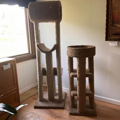 Cat Towers (D-DZ)