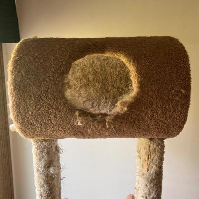 Cat Towers (D-DZ)