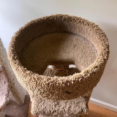 Cat Towers (D-DZ)