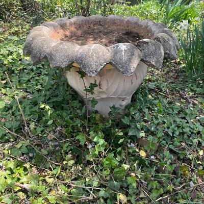 Sunflower Cement Birdbath (BY-MG)