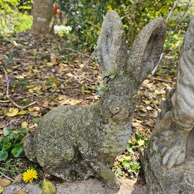 Concrete Rabbit Yard Art (BY-DW)