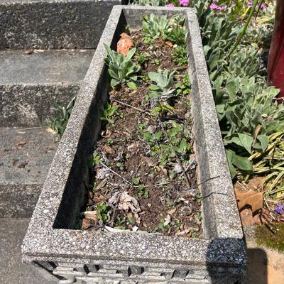 Two Cement Rectangular Planters (BY-MG)