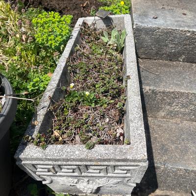 Two Cement Rectangular Planters (BY-MG)