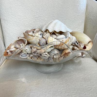 1124 Large Collection of Sea Shells & Pedestal Bowl