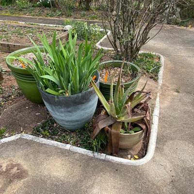 Four Plastic Plant Pots in Green & Blue (BY-MG)
