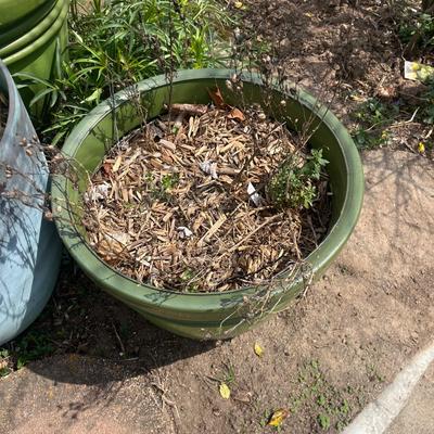 Four Plastic Plant Pots in Green & Blue (BY-MG)