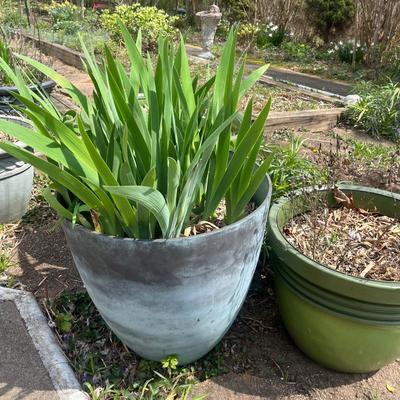 Four Plastic Plant Pots in Green & Blue (BY-MG)