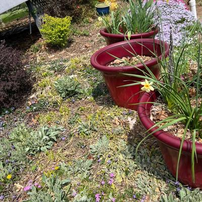 Three Large Red Plant Pots (BY-RG)