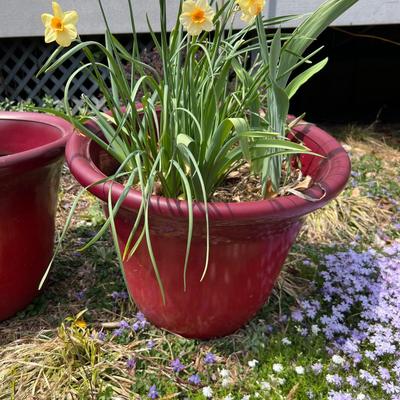 Three Large Red Plant Pots (BY-RG)