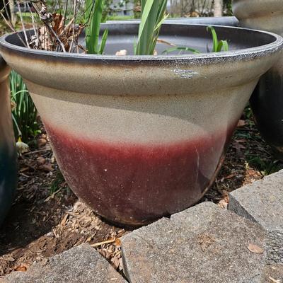 Six Large Two Toned Plastic Planters (BY-DW)