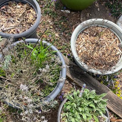 Seven Large Plastic Plant Pots (BY-MG)
