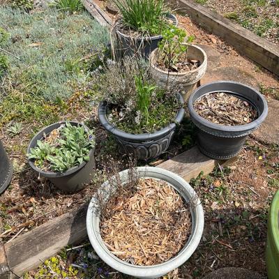 Seven Large Plastic Plant Pots (BY-MG)