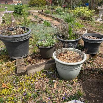 Seven Large Plastic Plant Pots (BY-MG)