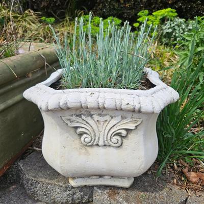 Assortment of Planters (BY-DW)