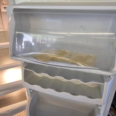 GE 25 CU Foot Side by Side Refrigerator/Freezer (G2-JS)