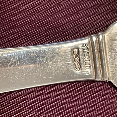 1900s Dominick & Haff Sterling Butter Spreader