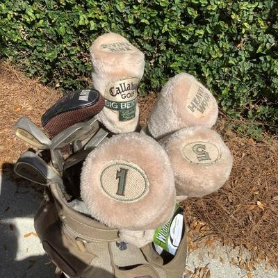 Ladies golf clubs- Cobra II / Callaway
