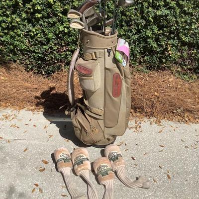 Ladies golf clubs- Cobra II / Callaway