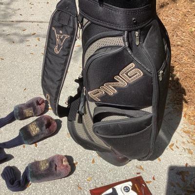 Menâ€™s golf clubs-King Cobra
