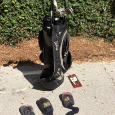 Menâ€™s golf clubs-King Cobra