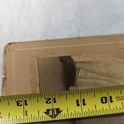 Vintage 1909 Picture