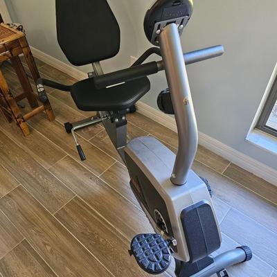 Sunny Health & Fitness Bike