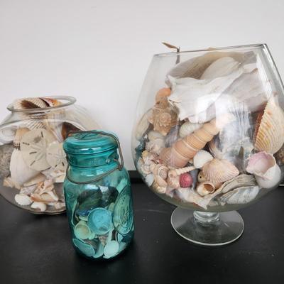 3 Glass Containers Filled with Seashells
