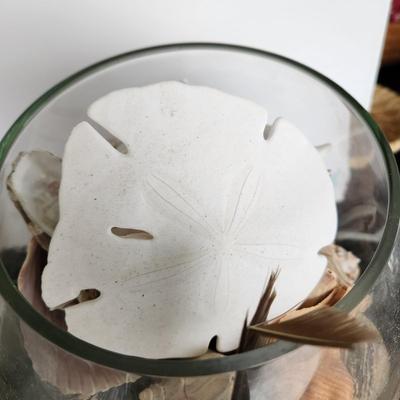 3 Glass Containers Filled with Seashells