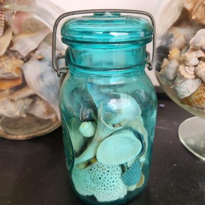 3 Glass Containers Filled with Seashells