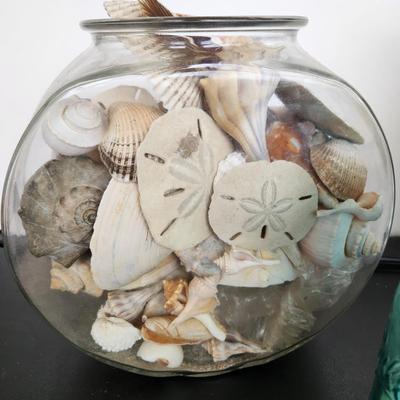 3 Glass Containers Filled with Seashells