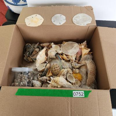 Box of Seashells
