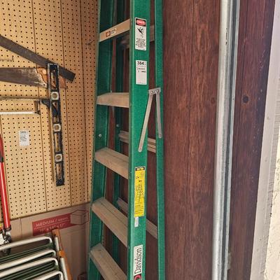 Davidson 7' Green Ladder