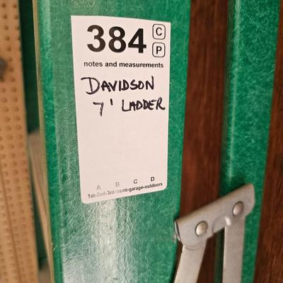 Davidson 7' Green Ladder
