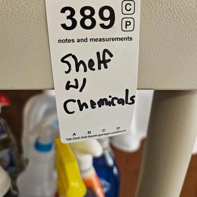 Shelf with Chemicals