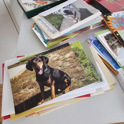 Boxed Christmas Cards & More (UC-JS)
